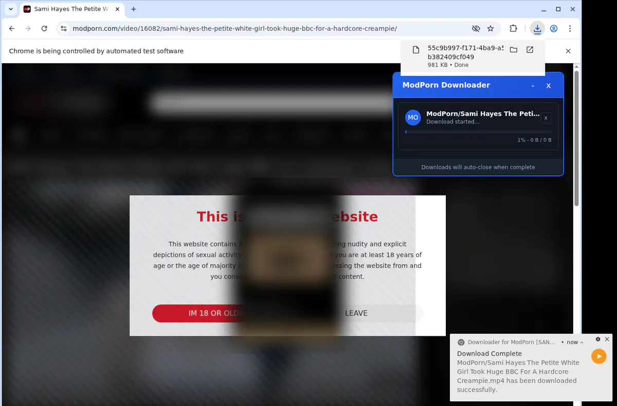 Modporn Video Downloader screenshot 2