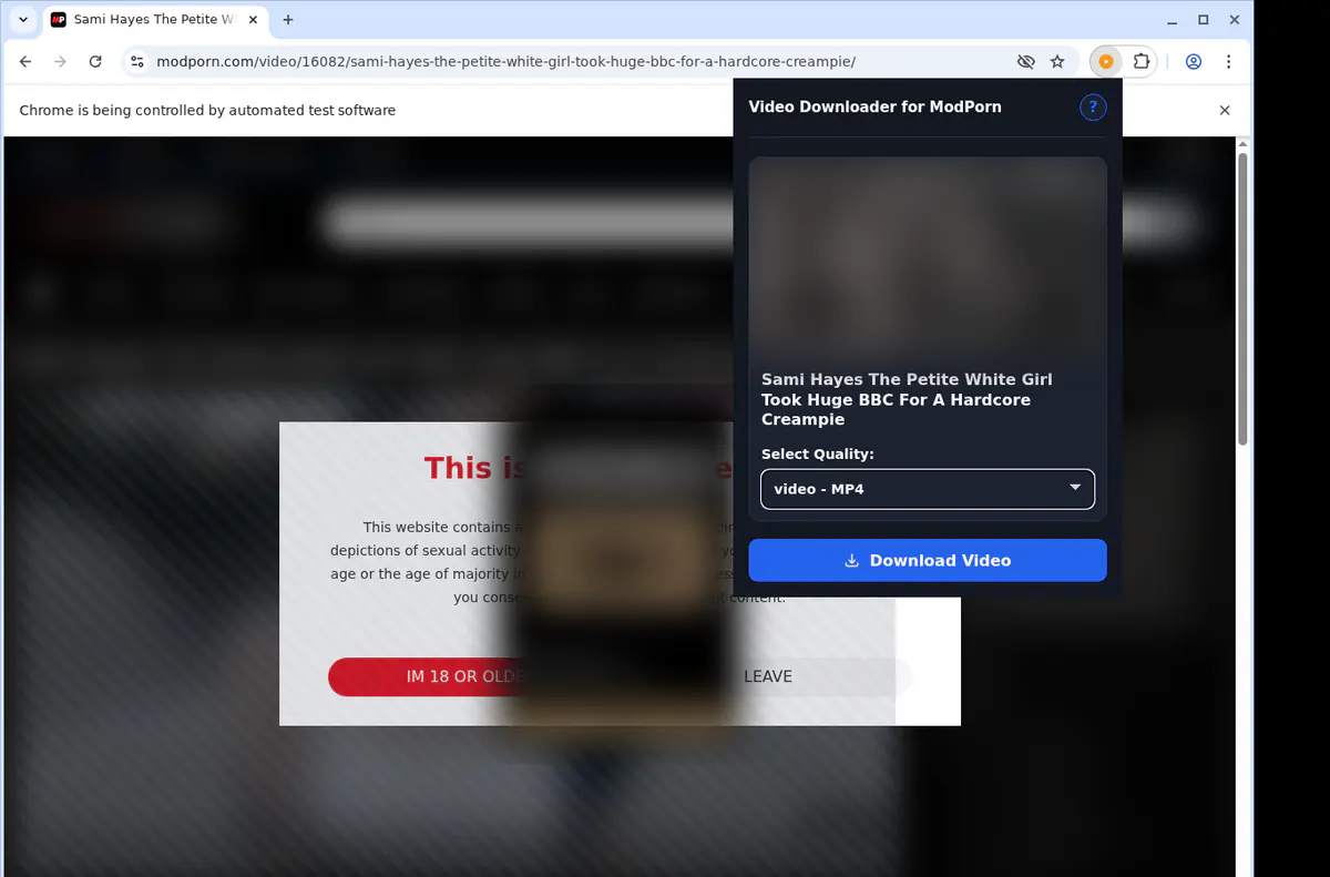Modporn Video Downloader screenshot 3