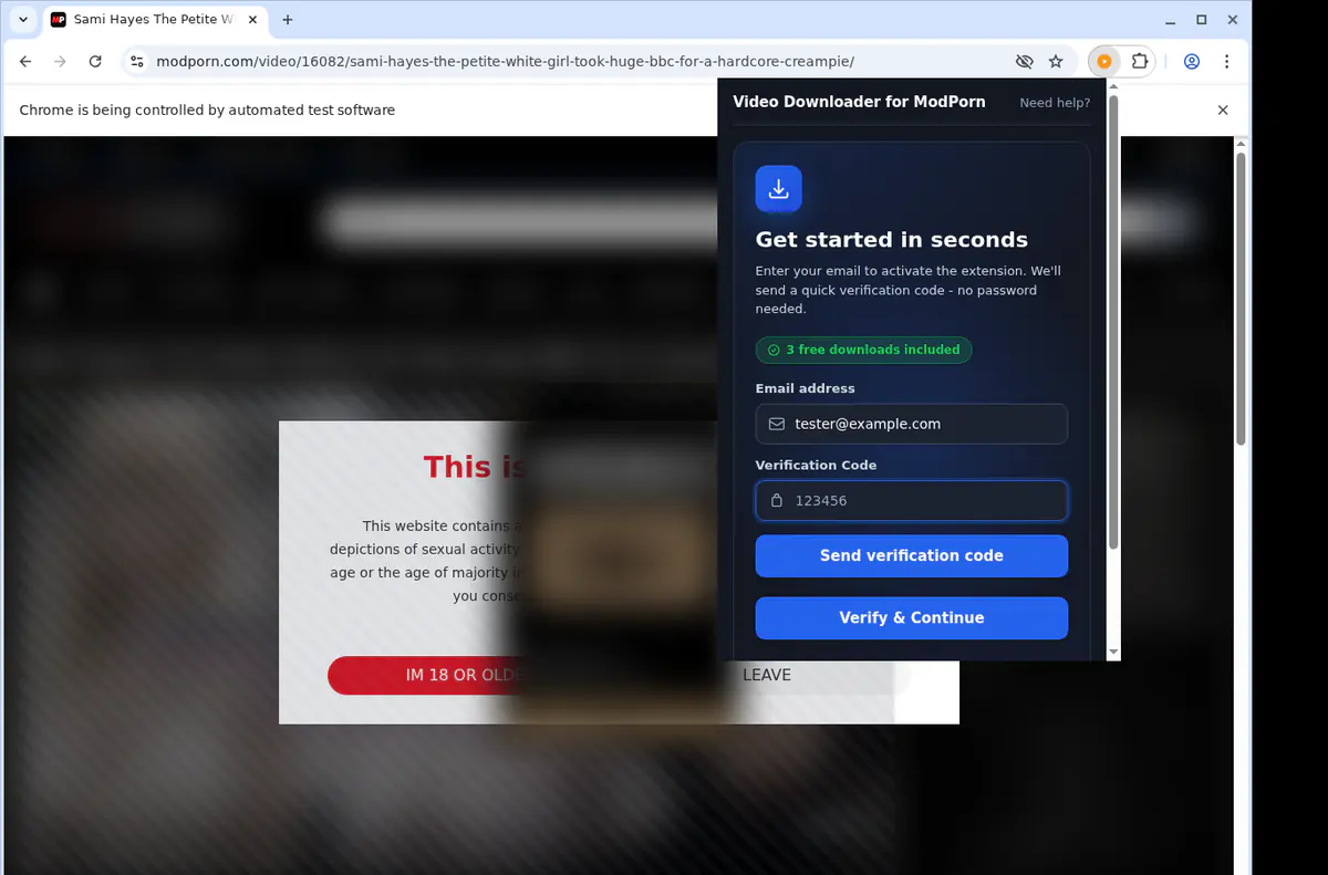 Modporn Video Downloader screenshot 4