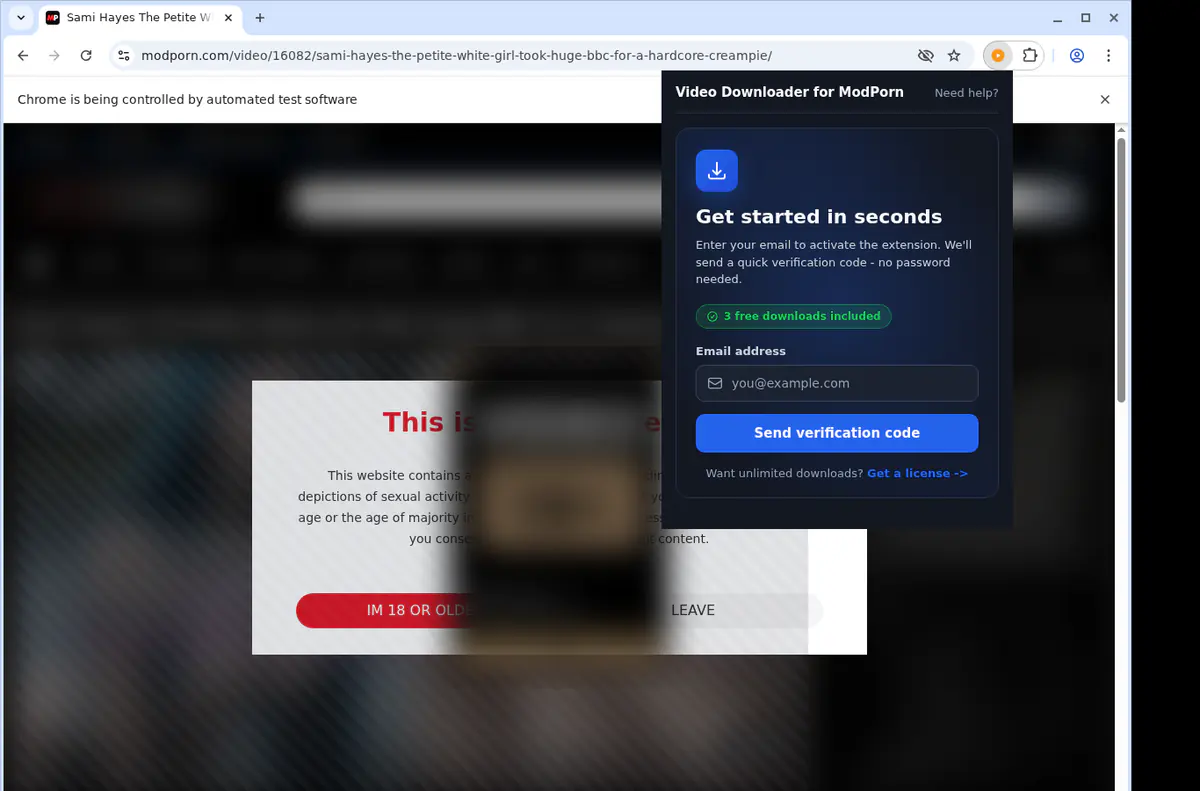Modporn Video Downloader screenshot 5